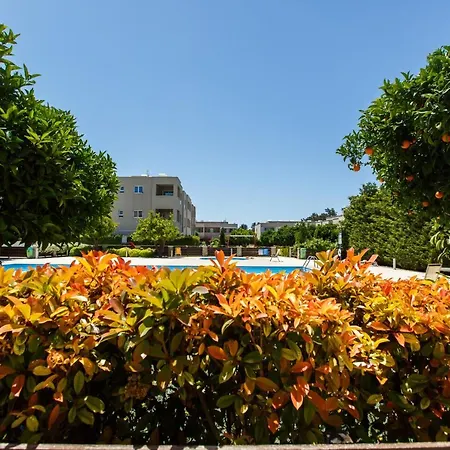 Zefyros Love Mandria (Paphos)